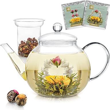 GROSCHE 17.7oz BPA-Free Tea Infuser Teapot with Drip-Free, Easy Clean Design